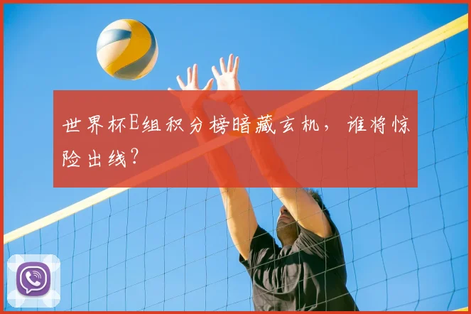 世界杯E组积分榜暗藏玄机，谁将惊险出线？