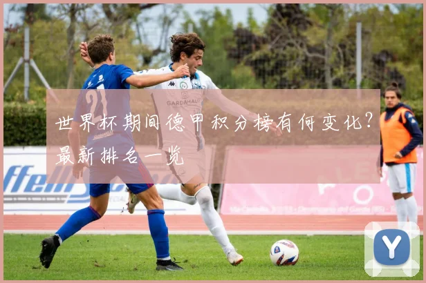 世界杯期间德甲积分榜有何变化?最新排名一览
