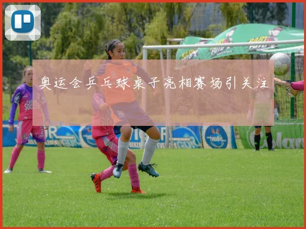 奥运会乒乓球桌子亮相赛场引关注