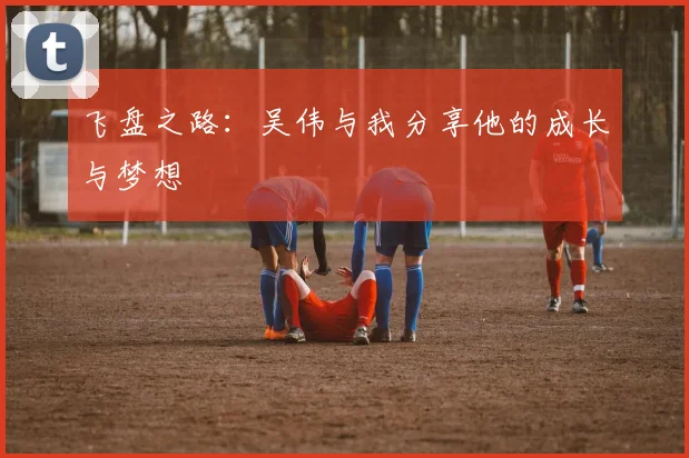 飞盘之路:吴伟与我分享他的成长与梦想