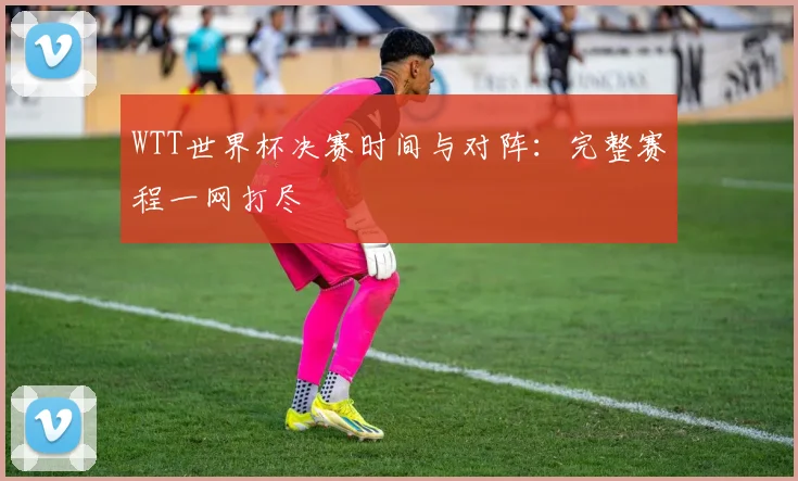 WTT世界杯决赛时间与对阵：完整赛程一网打尽