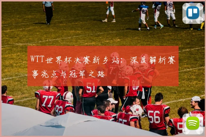 WTT世界杯决赛新乡站:深度解析赛事亮点与冠军之路