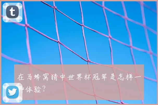 在马蜂窝猜中世界杯冠军是怎样一种体验?