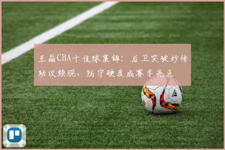 王晶CBA十佳球集锦：后卫突破妙传助攻频现，防守硬度成赛季亮点