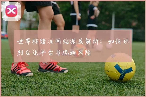 世界杯赌注网站深度解析：如何识别合法平台与规避风险