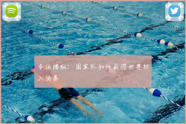 专访揭秘:国家队如何获得世界杯入场券