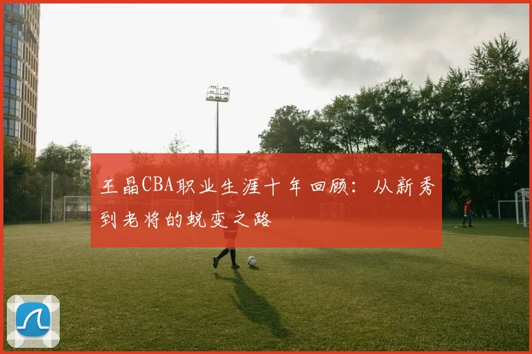 王晶CBA职业生涯十年回顾：从新秀到老将的蜕变之路
