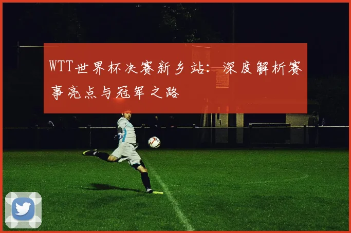 WTT世界杯决赛新乡站:深度解析赛事亮点与冠军之路