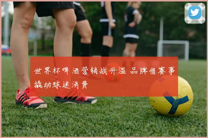 世界杯啤酒营销战升温 品牌借赛事撬动球迷消费
