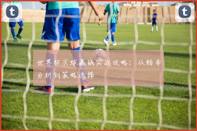 世界杯买球赢钱实战攻略：从赔率分析到策略选择