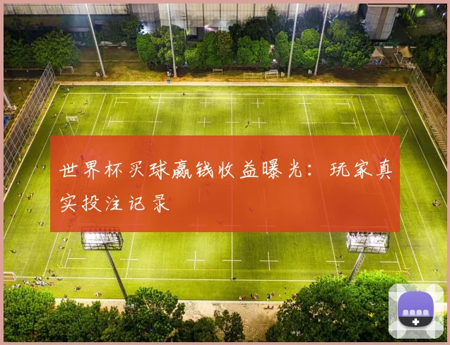 世界杯买球赢钱收益曝光：玩家真实投注记录