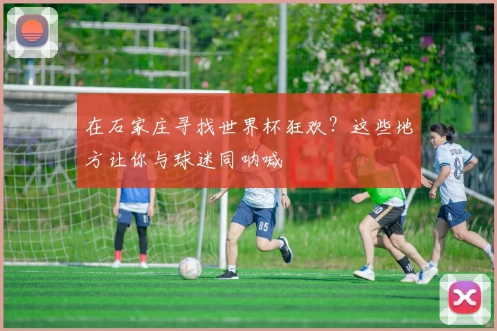 在石家庄寻找世界杯狂欢?这些地方让你与球迷同呐喊