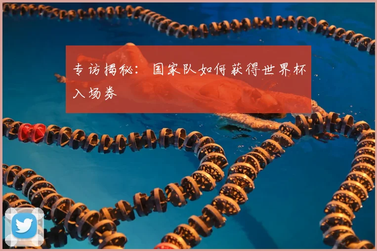 专访揭秘:国家队如何获得世界杯入场券